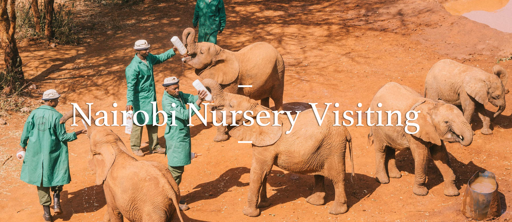Sheldrick Elephant Sanctuary